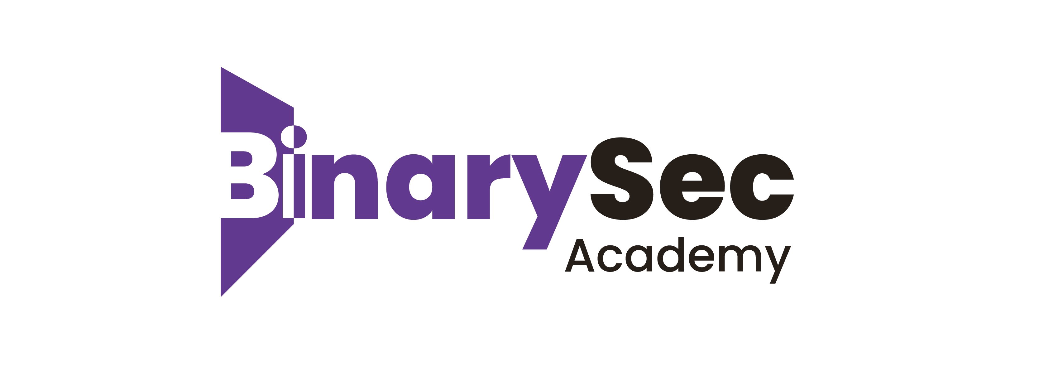 BinarySec Academy